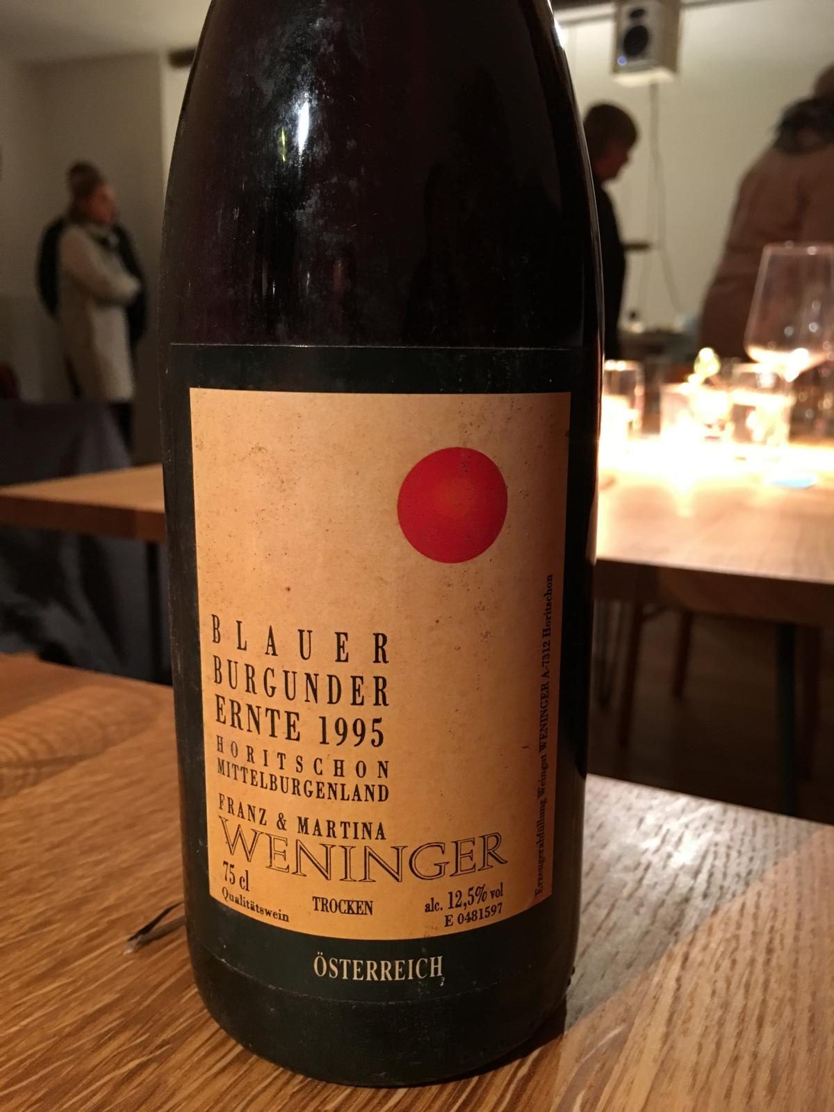 Von jungen Jahren (2015) bis in eine spannende Vergangenheit - eine tolle Weinreise in Horitschon