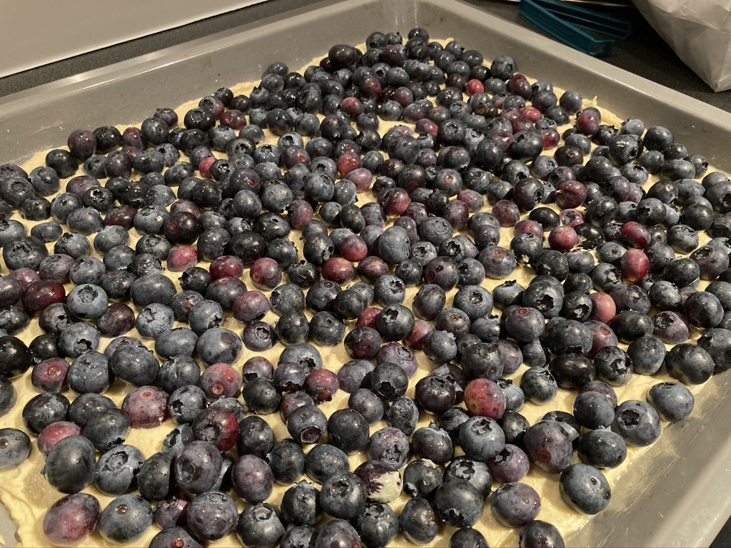 Heidelbeeren werden auf dem dünnen Teigboden verteilt. Durch die Durchlässigkeit der kleinen Beeren geht der Teig dazwischen auf und die Beeren platzen dann zum richtigen Zeitpunkt