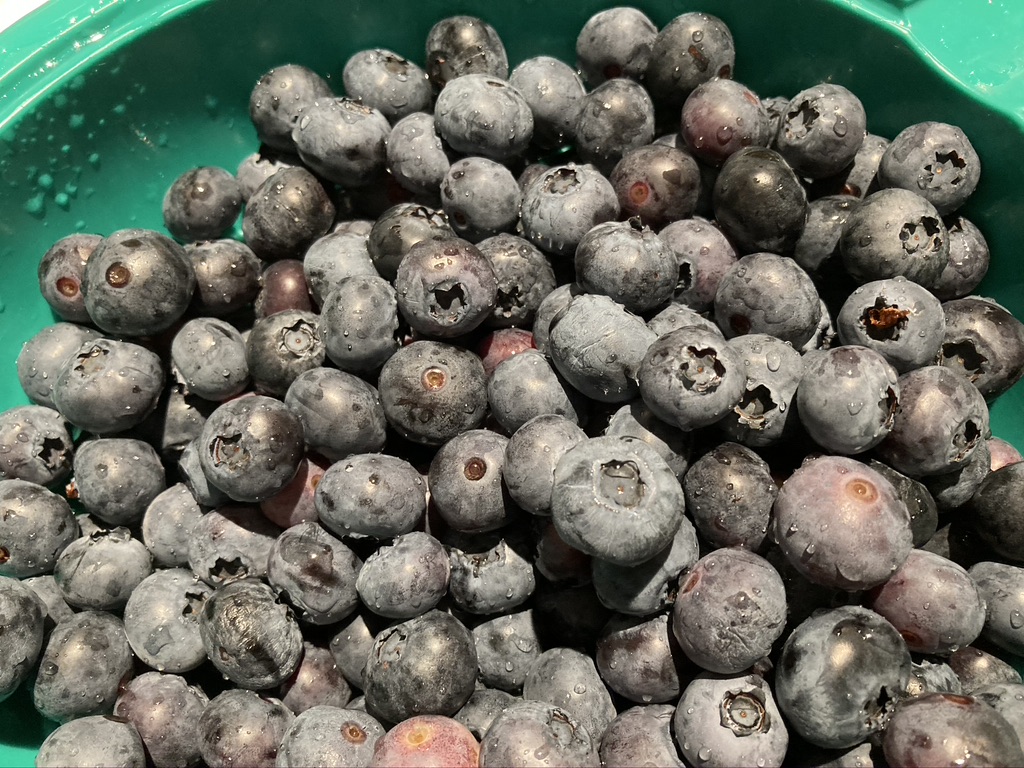 Heidelbeeren sind heimisches Superfood, das man im Juli unbedingt auf die Speisekarte setzen sollte