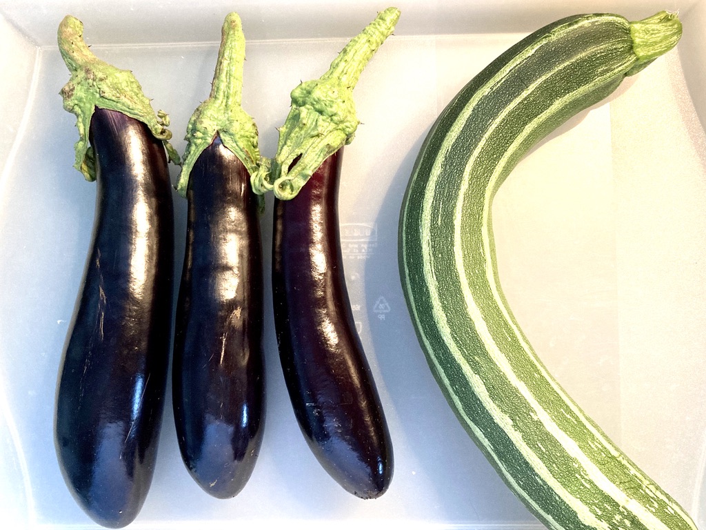 Gartenliebe: Melanzani und Zucchini haben Saison. Und wir haben so ein Glück, dass bei uns dieses Gemüse rasch wächst.